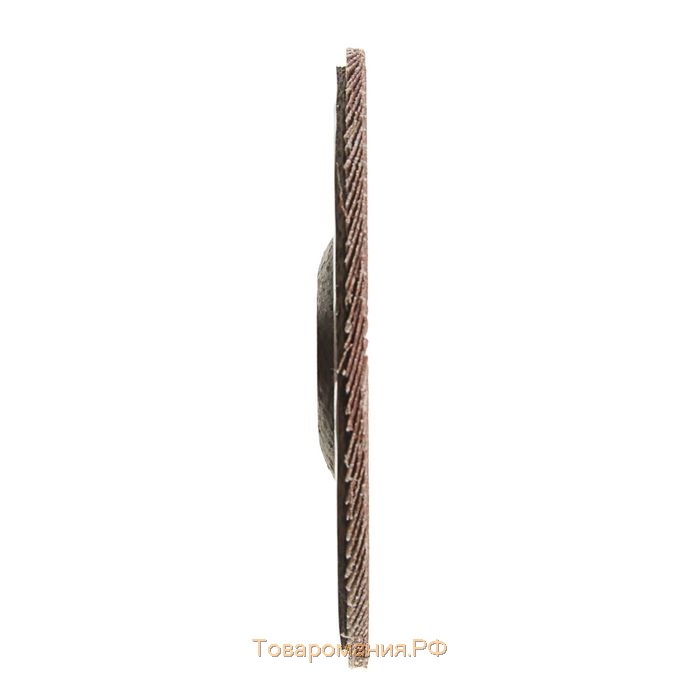 Круг лепестковый торцевой ТУНДРА, 150 х 22 мм, Р120