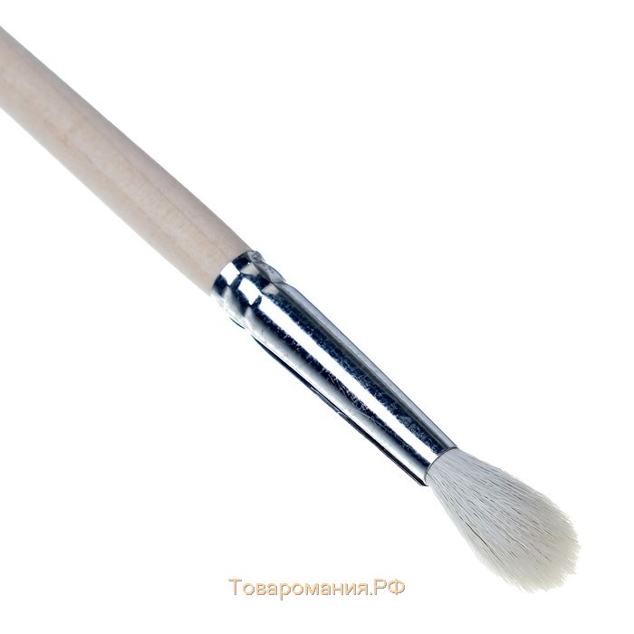 Кисть Коза круглая №5 (диаметр обоймы 5 мм; длина волоса 20 мм), деревянная ручка, Calligrata