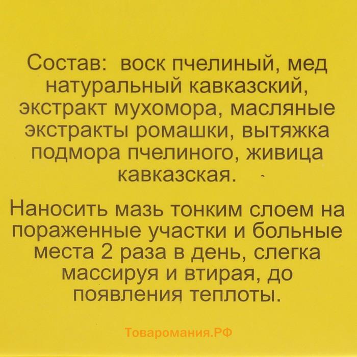 Мазь «Монастырская Живица с Мухомором». Ранозаживляющая.  Стекло. 28 мл.