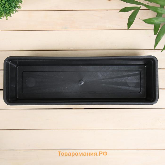 Ящик для рассады, 50×15×10 см, 5 л, пластик, чёрный, «Урожай-5»
