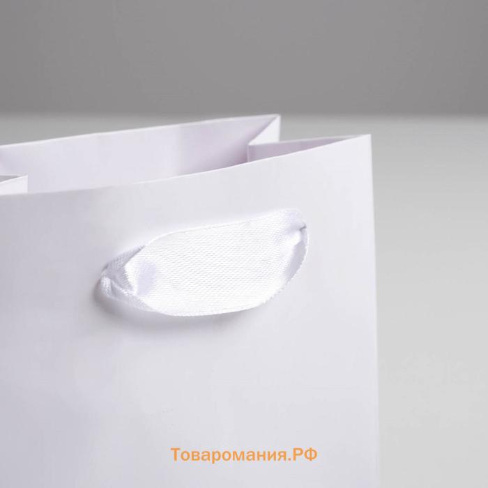 Пакет подарочный, упаковка, «Белый», 12 х 15 х 5.5 см