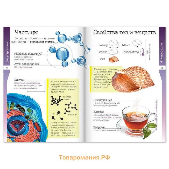 Книжки - шпаргалки «Мир природы и человека», набор 6 шт.