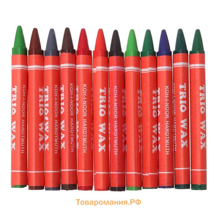 Мелки восковые 24 цвета Koh-I-Noor TRIO 8274, D=8,2 мм, L=90 мм, картонная упаковка, европодвес