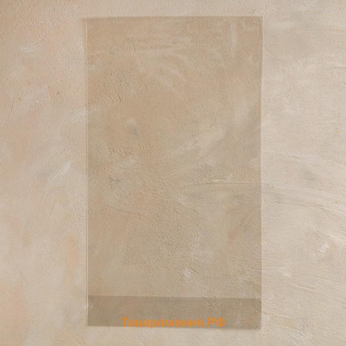 Пакет полипропиленовый фасовочный, прозрачный, 18×32×3 см