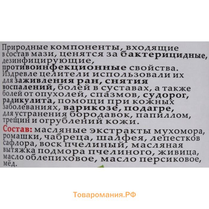 Мазь монастырская Живичная с мухомором, Солох-Аул, 100 мл