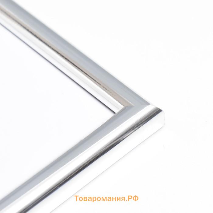Фоторамка пластик "МИРАМ" 29.7х42 см, (А3) серебро (пластиковый экран)