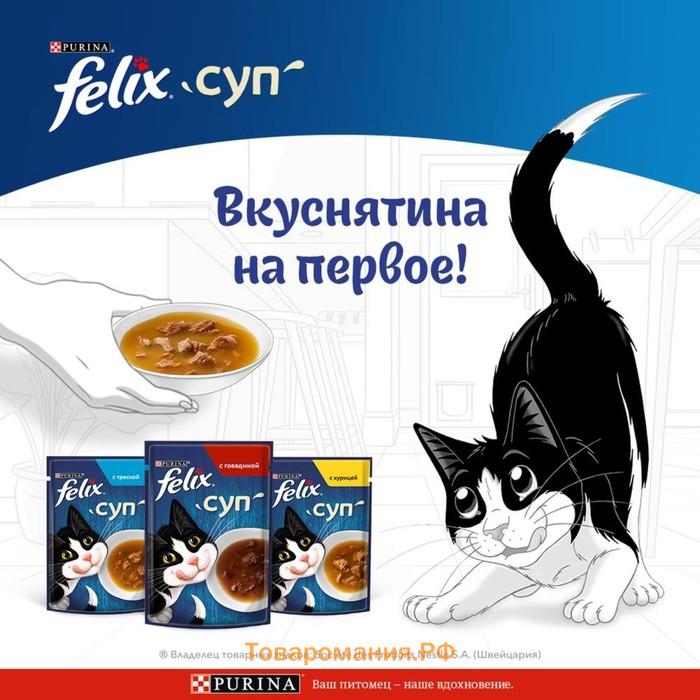 Влажный корм Felix Суп с говядиной, для кошек, 48 г