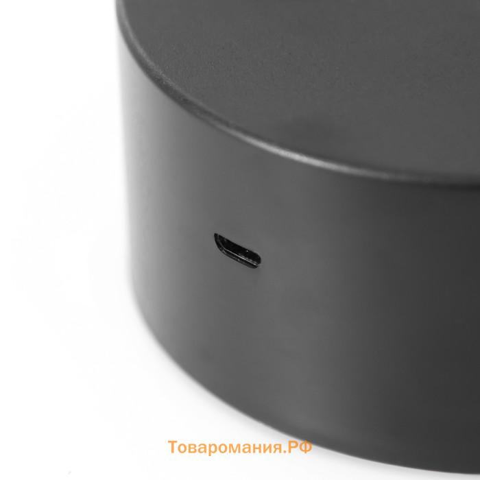 Светильник сенсорный "Мишутка" LED 7 цветов USB/от батареек черный RISALUX