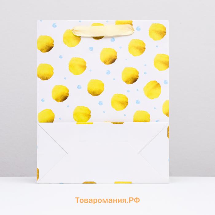 Пакет подарочный ламинированный «Горох», 26×32×12 см