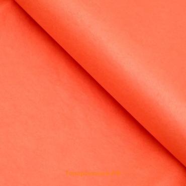 Бумага упаковочная тишью, МИКС, 50 см × 66 см