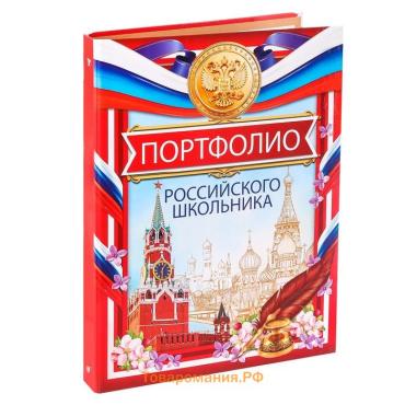 Папка школьная на кольцах «Портфолио школьника», 10 листов-разделителей, 24,5 х 32 см.