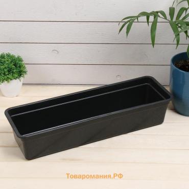 Ящик для рассады, 50×15×10 см, 5 л, пластик, чёрный, «Урожай-5»