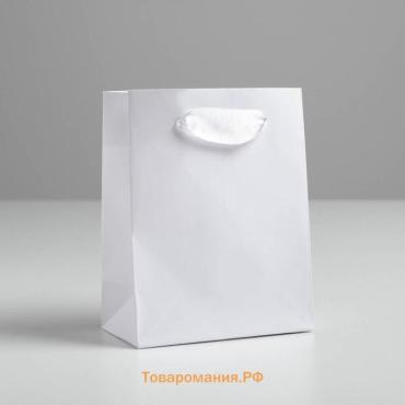Пакет подарочный, упаковка, «Белый», 12 х 15 х 5.5 см