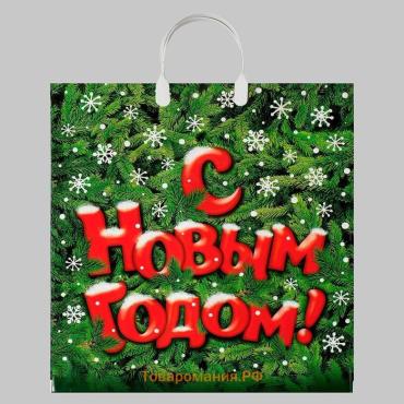Пакет «Поздравление», полиэтиленовый с пластиковой ручкой, 40×44 см
