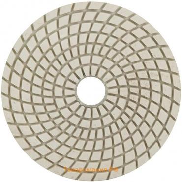 Алмазный гибкий шлифовальный круг "Черепашка" TRIO-DIAMOND, для мокр. шлиф., 100 мм, №30