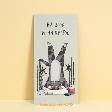 Конверт для денег «На ЗОЖ и кутеж», кот, 16,5 × 8 см