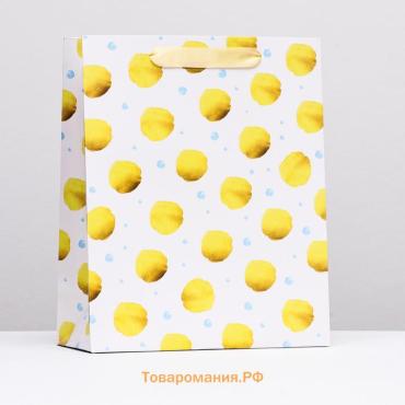 Пакет подарочный ламинированный «Горох», 26×32×12 см